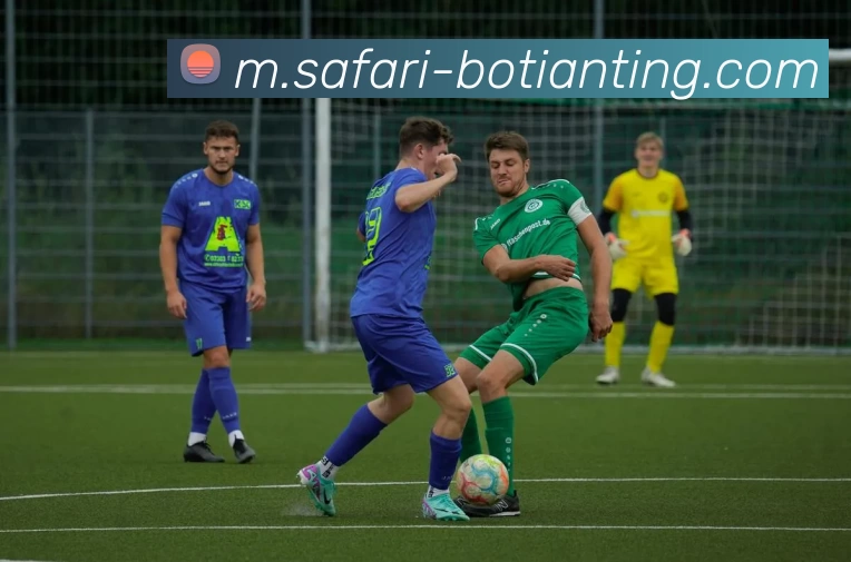 App Interface Preview