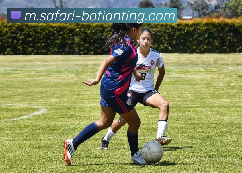 博天堂APP 封面图